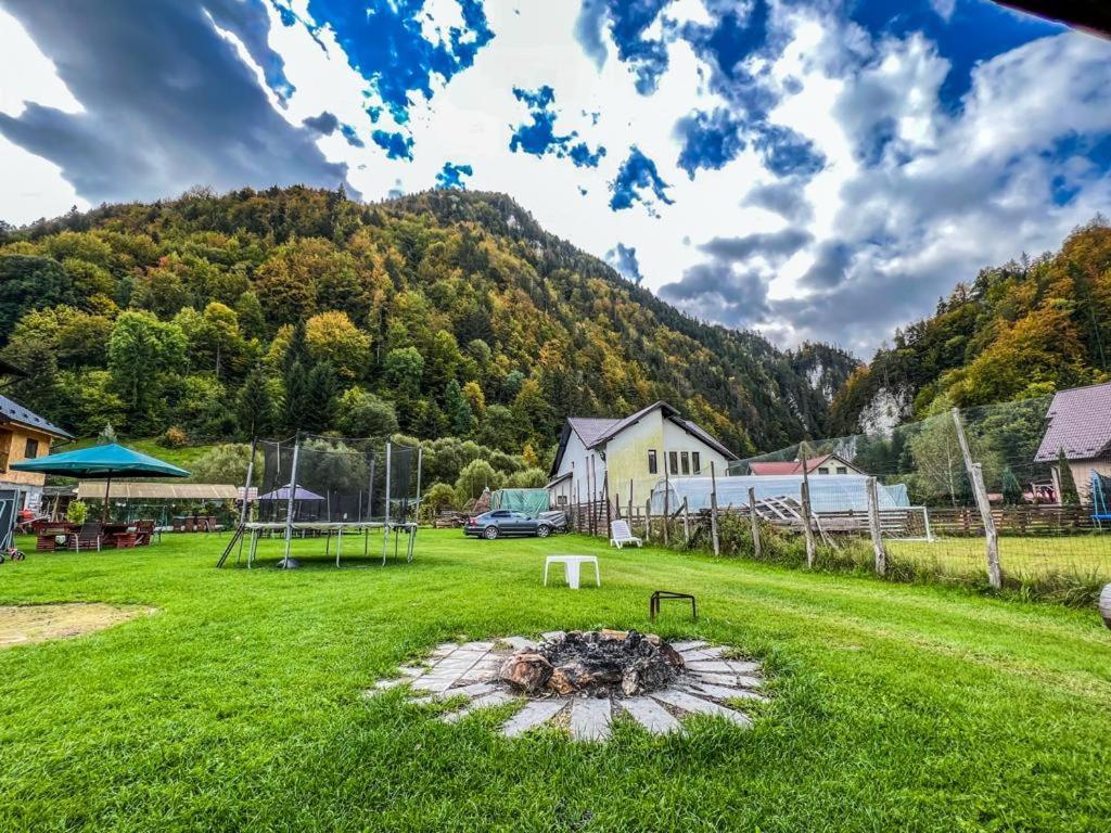 Hotel Casa Petruta Dambovicioara à Podu Dimbovitei Extérieur photo