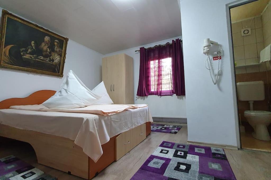 Hotel Casa Petruta Dambovicioara à Podu Dimbovitei Extérieur photo