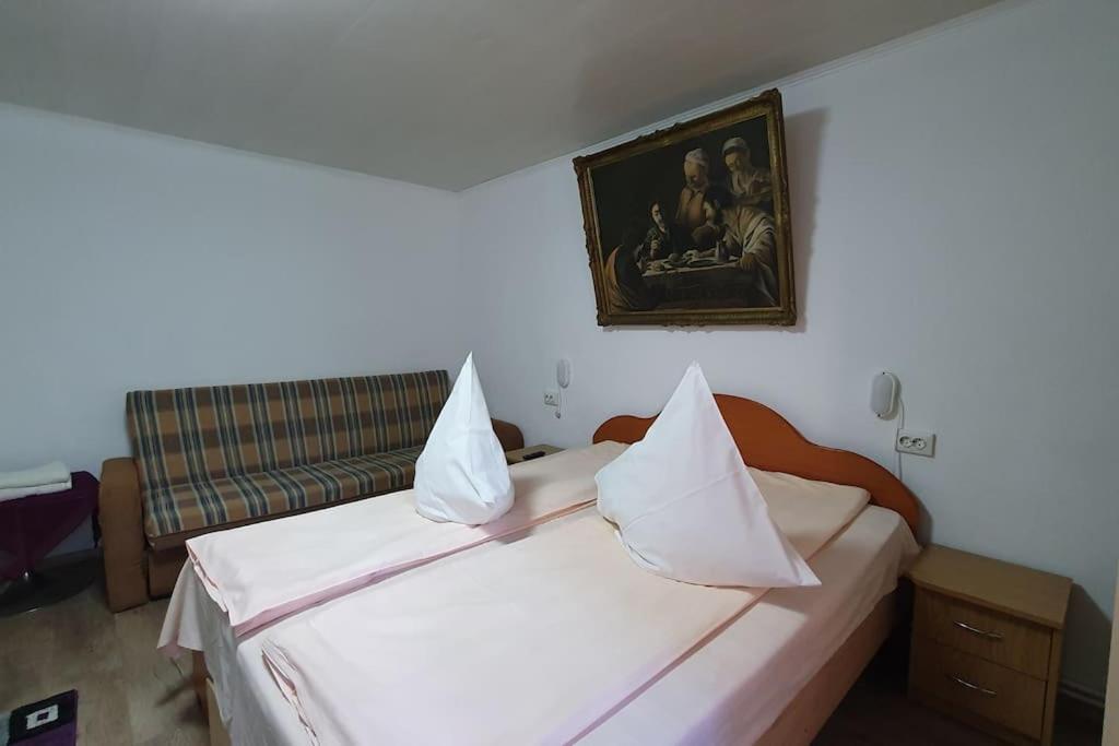 Hotel Casa Petruta Dambovicioara à Podu Dimbovitei Extérieur photo