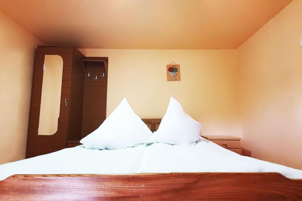 Hotel Casa Petruta Dambovicioara à Podu Dimbovitei Extérieur photo