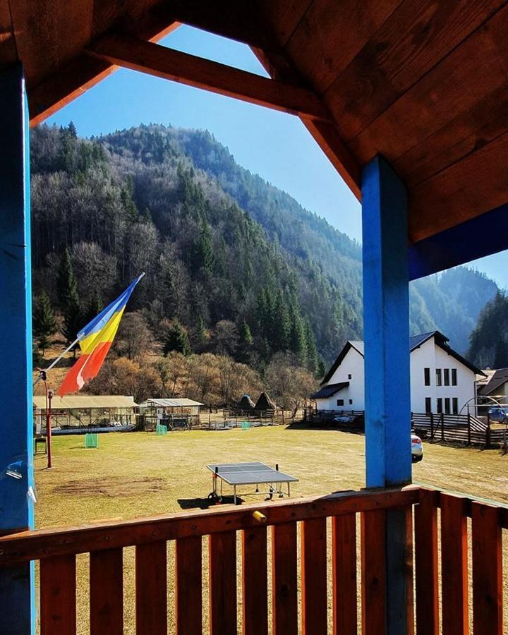 Hotel Casa Petruta Dambovicioara à Podu Dimbovitei Extérieur photo