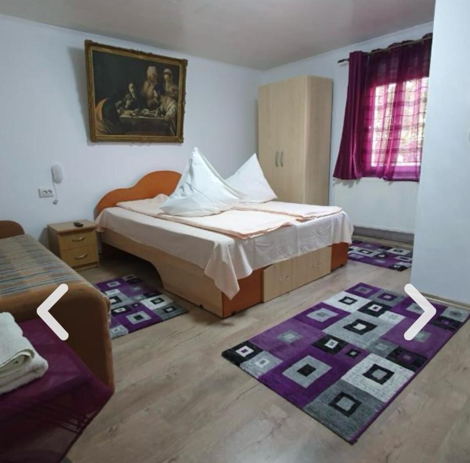Hotel Casa Petruta Dambovicioara à Podu Dimbovitei Extérieur photo